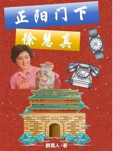 四合院 提亲秦淮茹