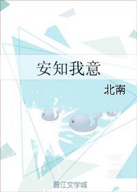 安知我意 北南