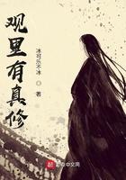 观里有真修免费阅读