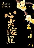 四爷心尖宠