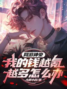 只是多氪了亿点而已作者大明小名