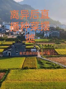 天地悠悠是什么歌曲