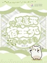 青鹏传从海东青开始 目录共100章